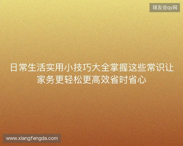 日常生活实用小技巧大全掌握这些常识让家务更轻松更高效省时省心